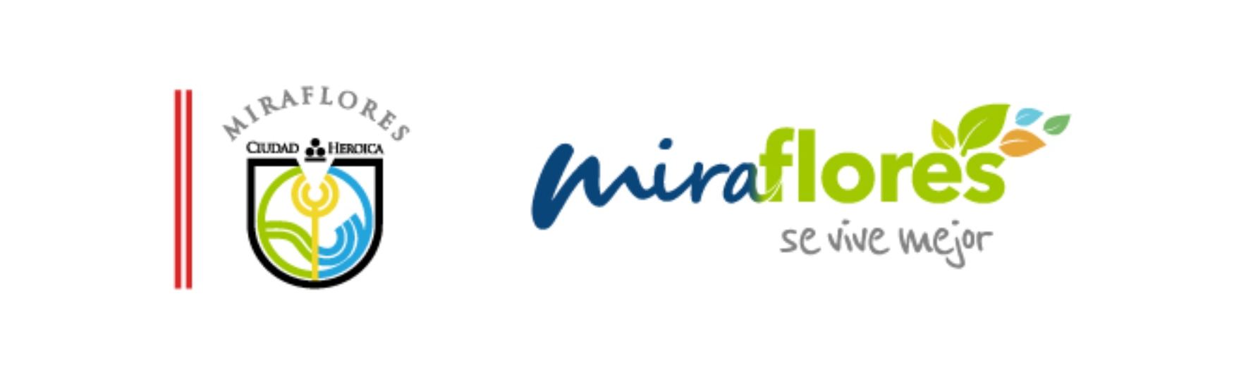 Logo 12